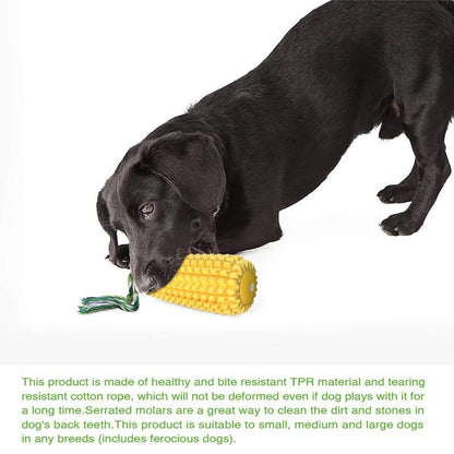 Tough Corn Stick Pet Chew Toy, Squeaky, Durable Toy for Dogs to Promote Healthy Chewing