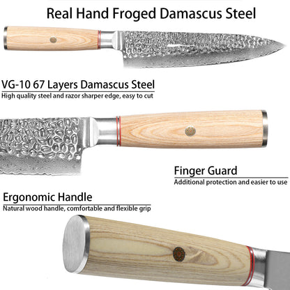 8in. Damascus Japanese Chef Knife, Kitchen Knife with 67-Layered Carbon Steel, Razor Sharp Cooking/Chef Knife with Pakkawood Handle