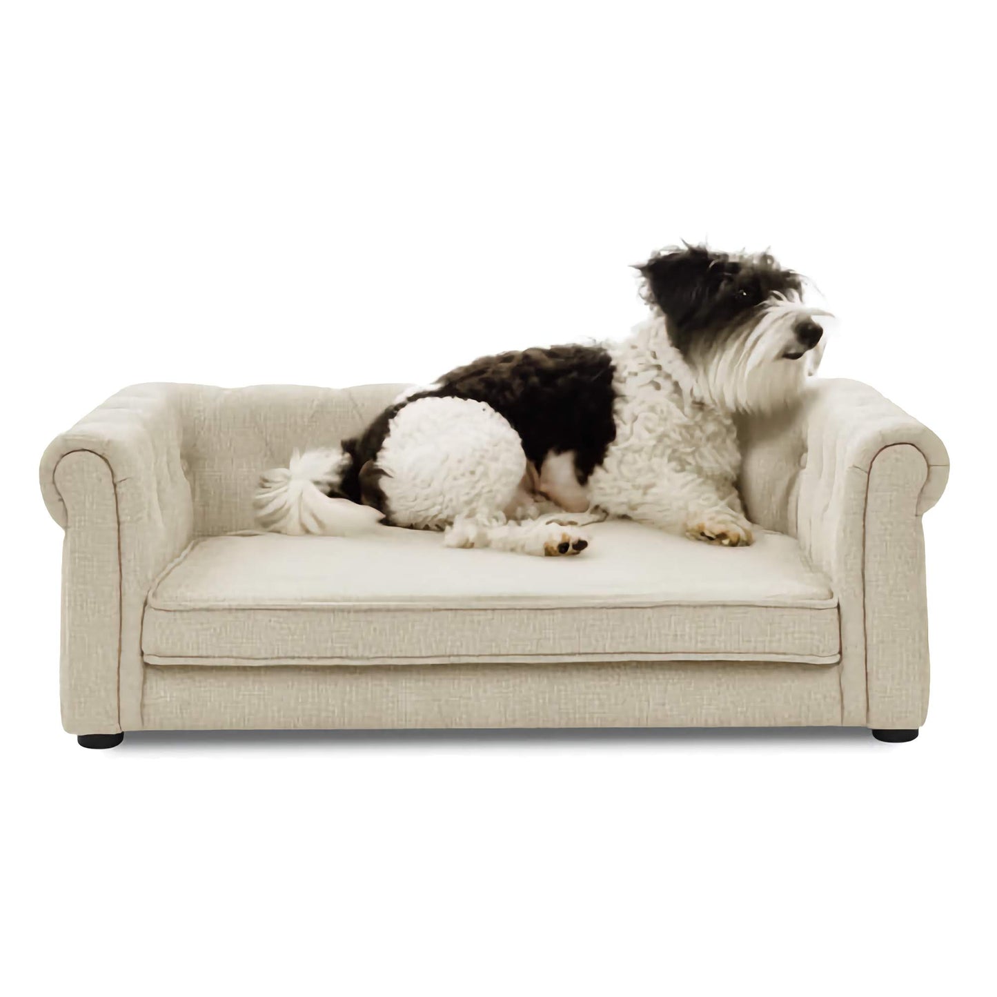 Elegant Raised Pet Sofa Bed, Comfortable Rectangular Bed for Medium and Large Pets with Supportive Design