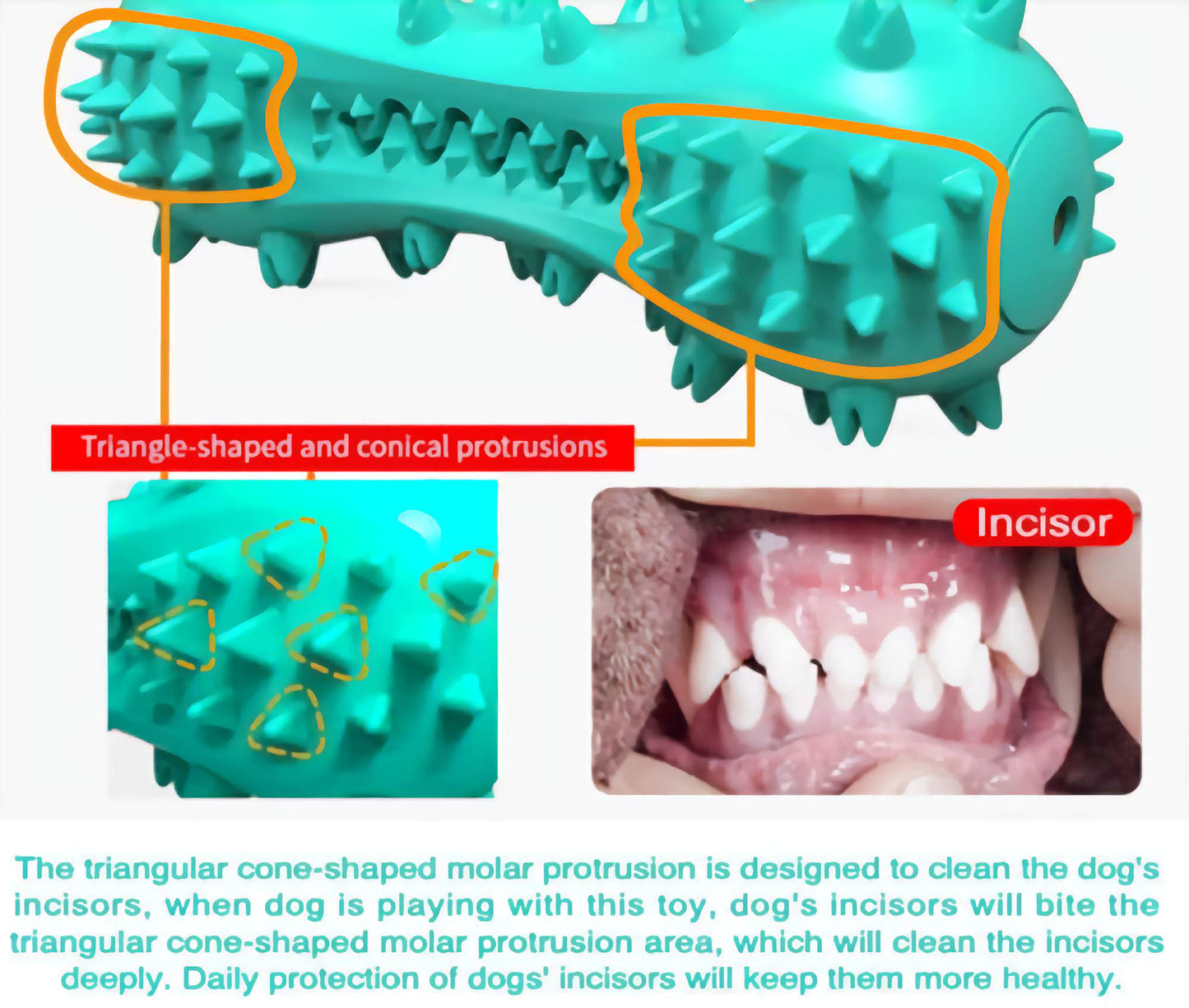Oral Cleaning Pet Chew Toy, Durable Rubber Molar Stick Bone for Dental Health and Chewing Fun