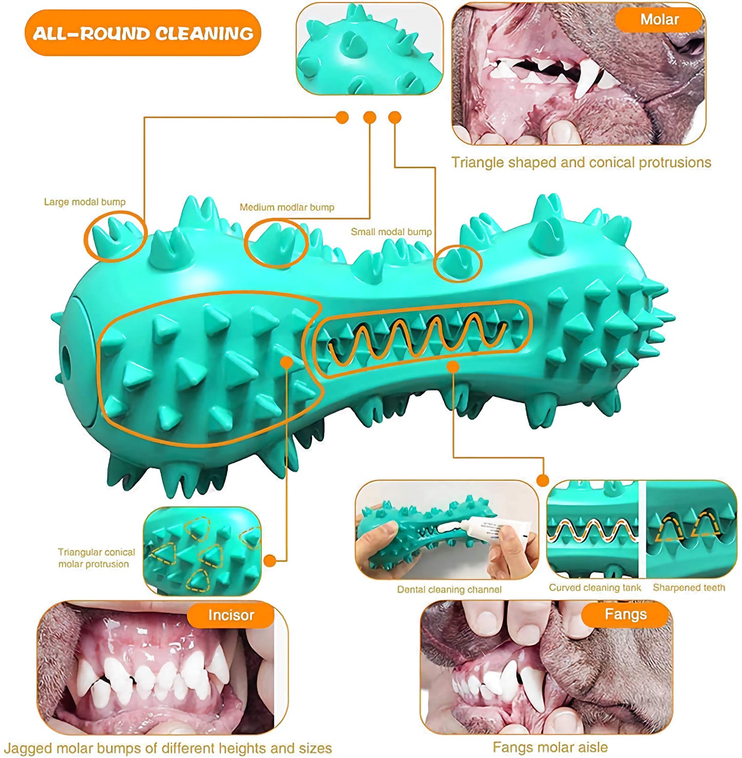 Oral Cleaning Pet Chew Toy, Durable Rubber Molar Stick Bone for Dental Health and Chewing Fun