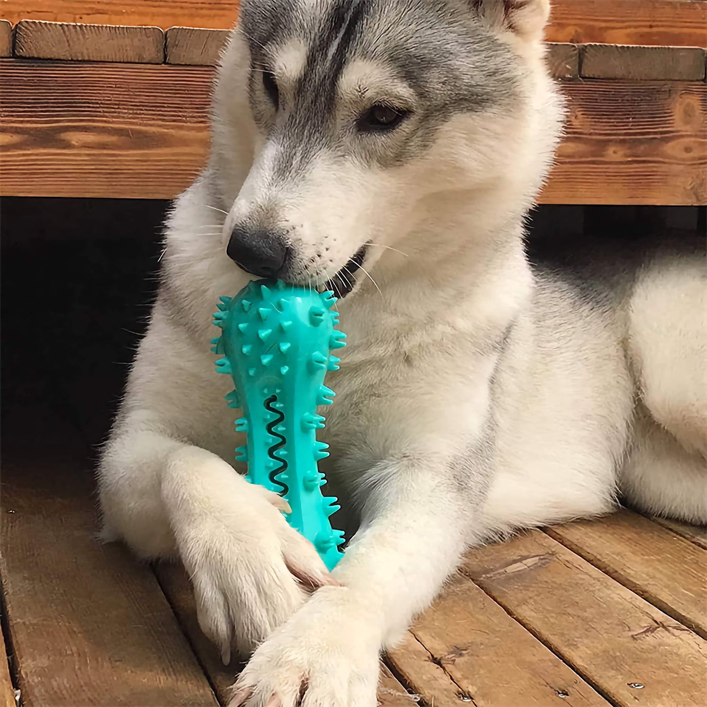 Oral Cleaning Pet Chew Toy, Durable Rubber Molar Stick Bone for Dental Health and Chewing Fun