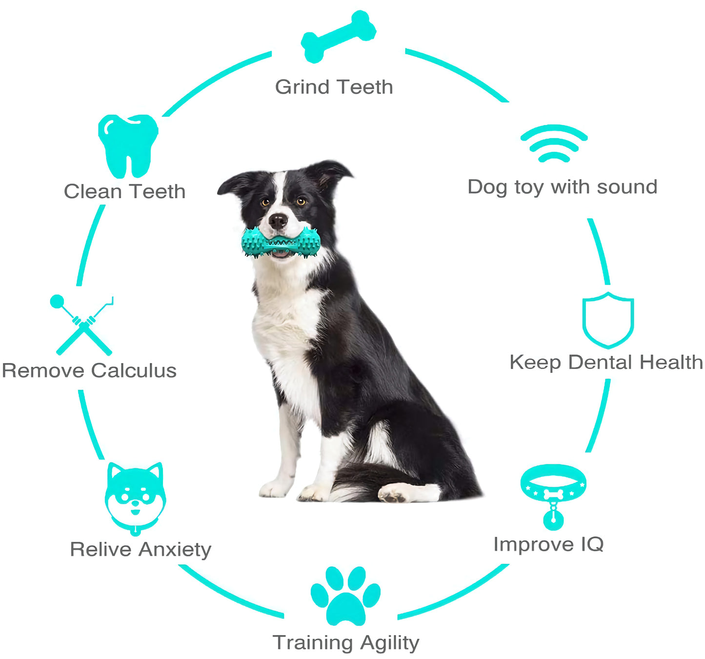 Oral Cleaning Pet Chew Toy, Durable Rubber Molar Stick Bone for Dental Health and Chewing Fun